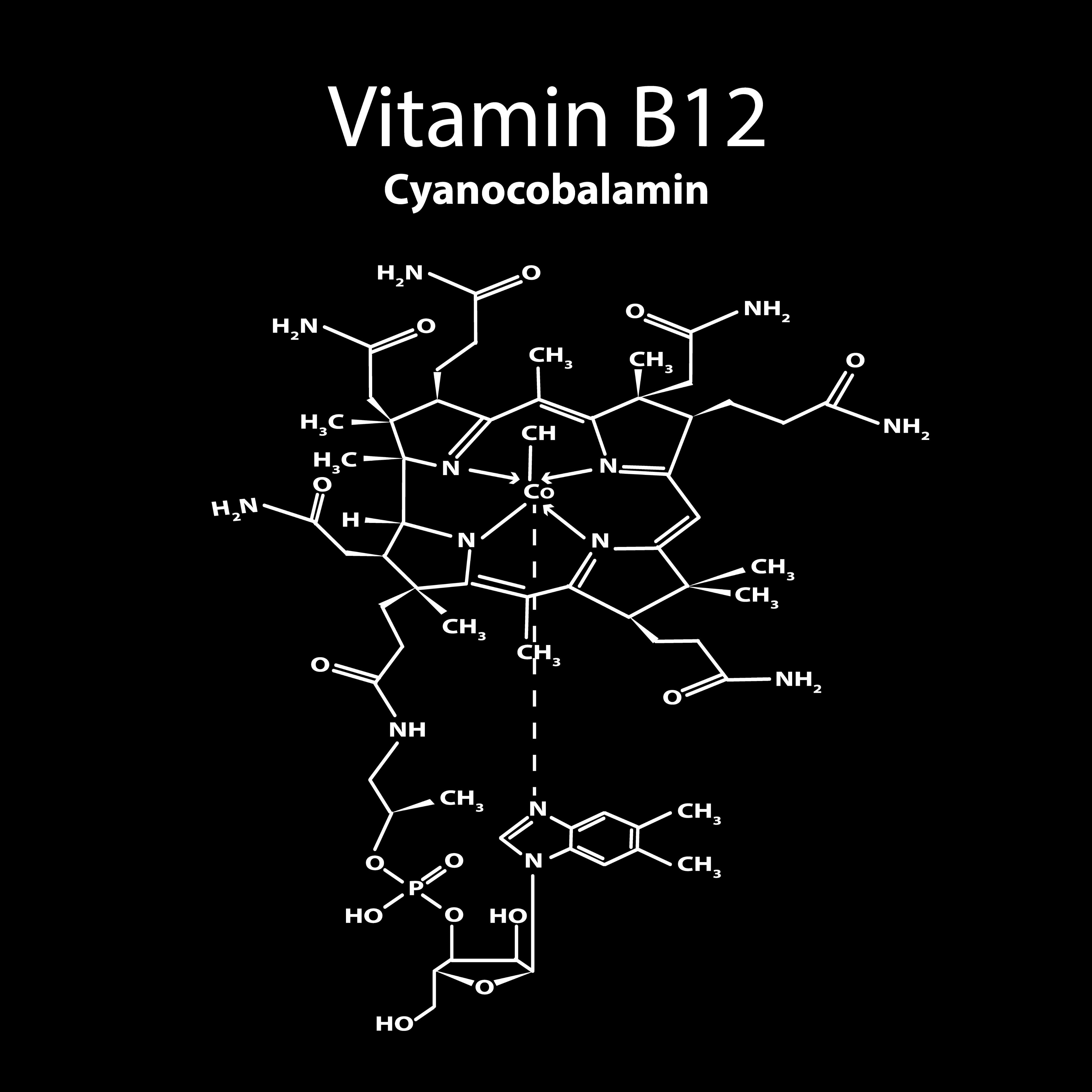 Vitamin B12. cyanocobalamin Molecular chemical formula. Infographics. Vector